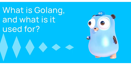 Cover for What is Golang, and What is It Used For?
